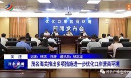 茂名今天新闻最新爆料,最新爆料揭示重大事件真相