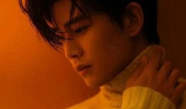 娱乐圈男博主最新爆料,揭秘明星背后的惊人真相！