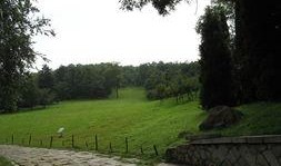 青岛植物园最新爆料,探秘植物王国新篇章