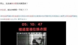 姐夫哥最新爆料视频,最新爆料视频深度解析